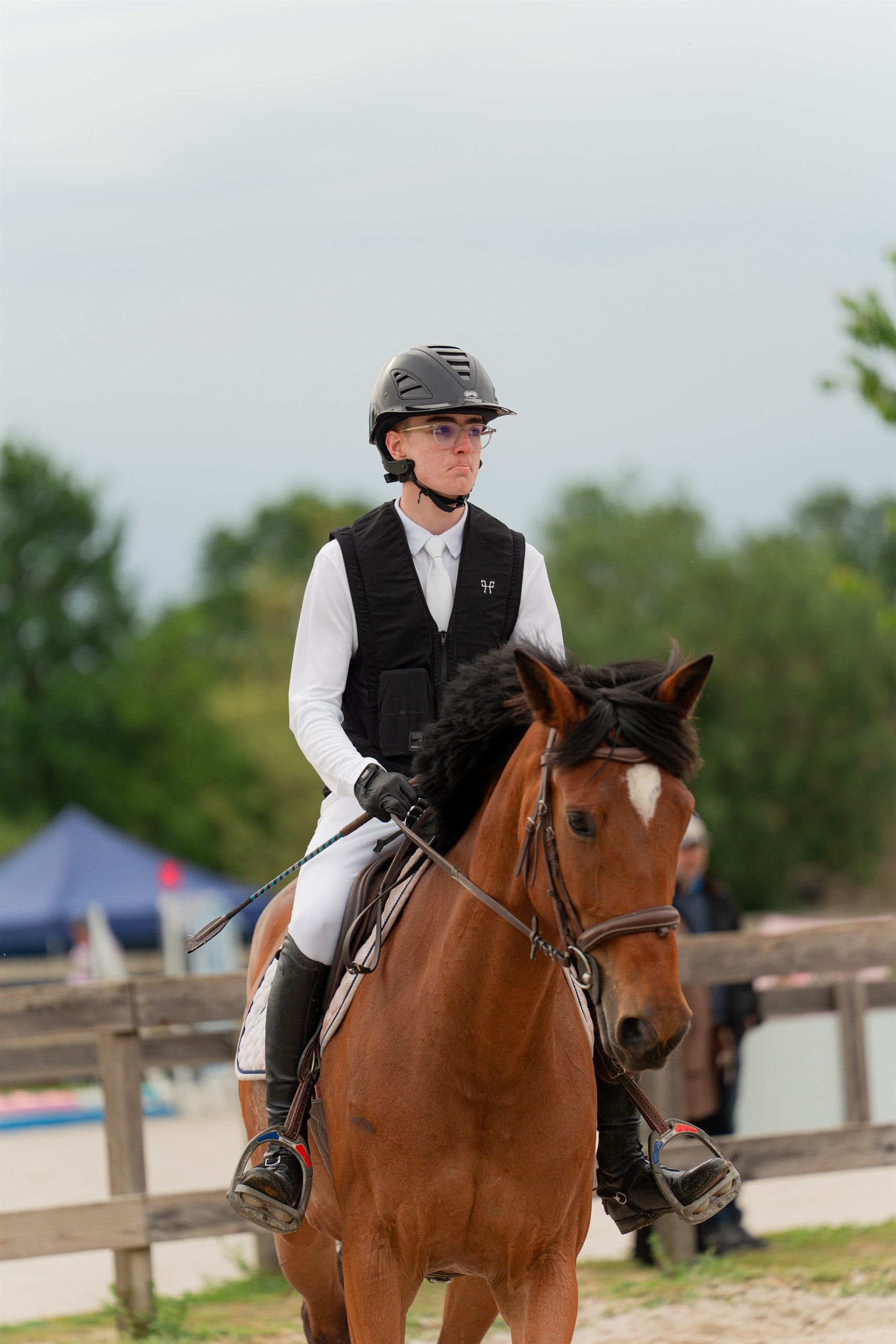 Complicité cavalier-cheval sur le paddock