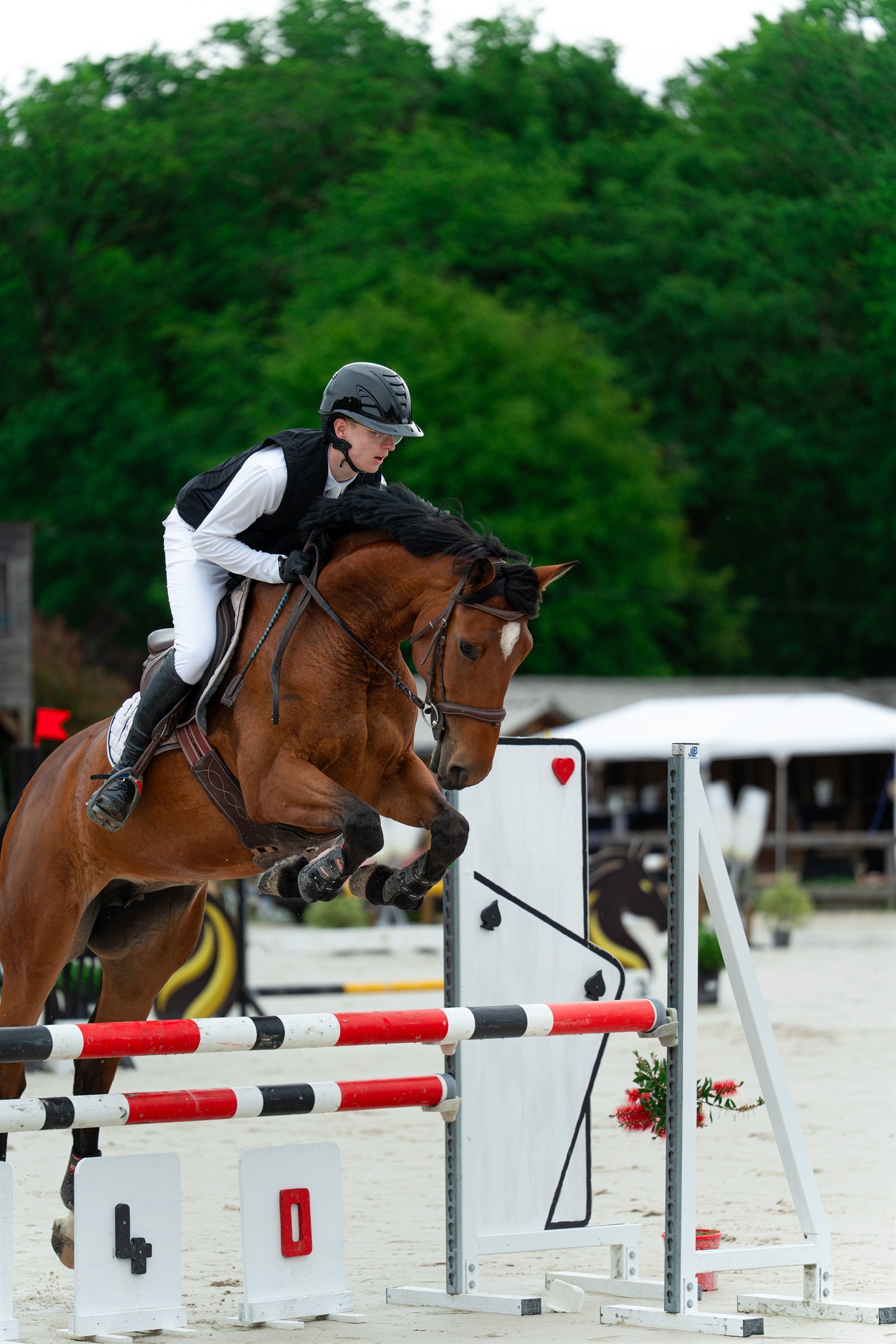 Saut au-dessus de l'oxer en concours